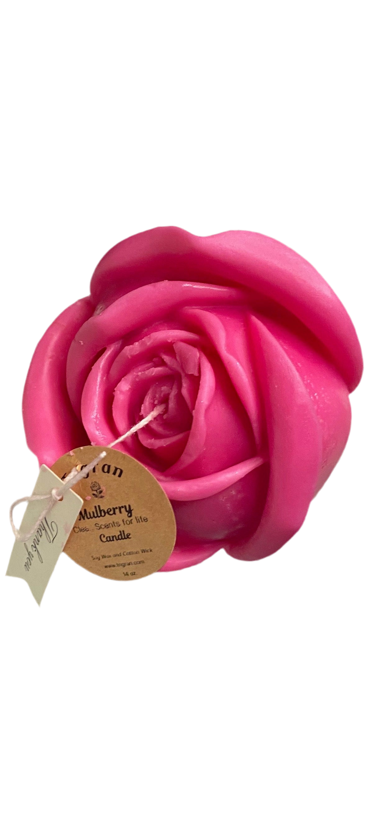 Hot Pink 14 oz Rose for Valentines, Birthdays, Anniversary, House Warming or Just a Special Gift.