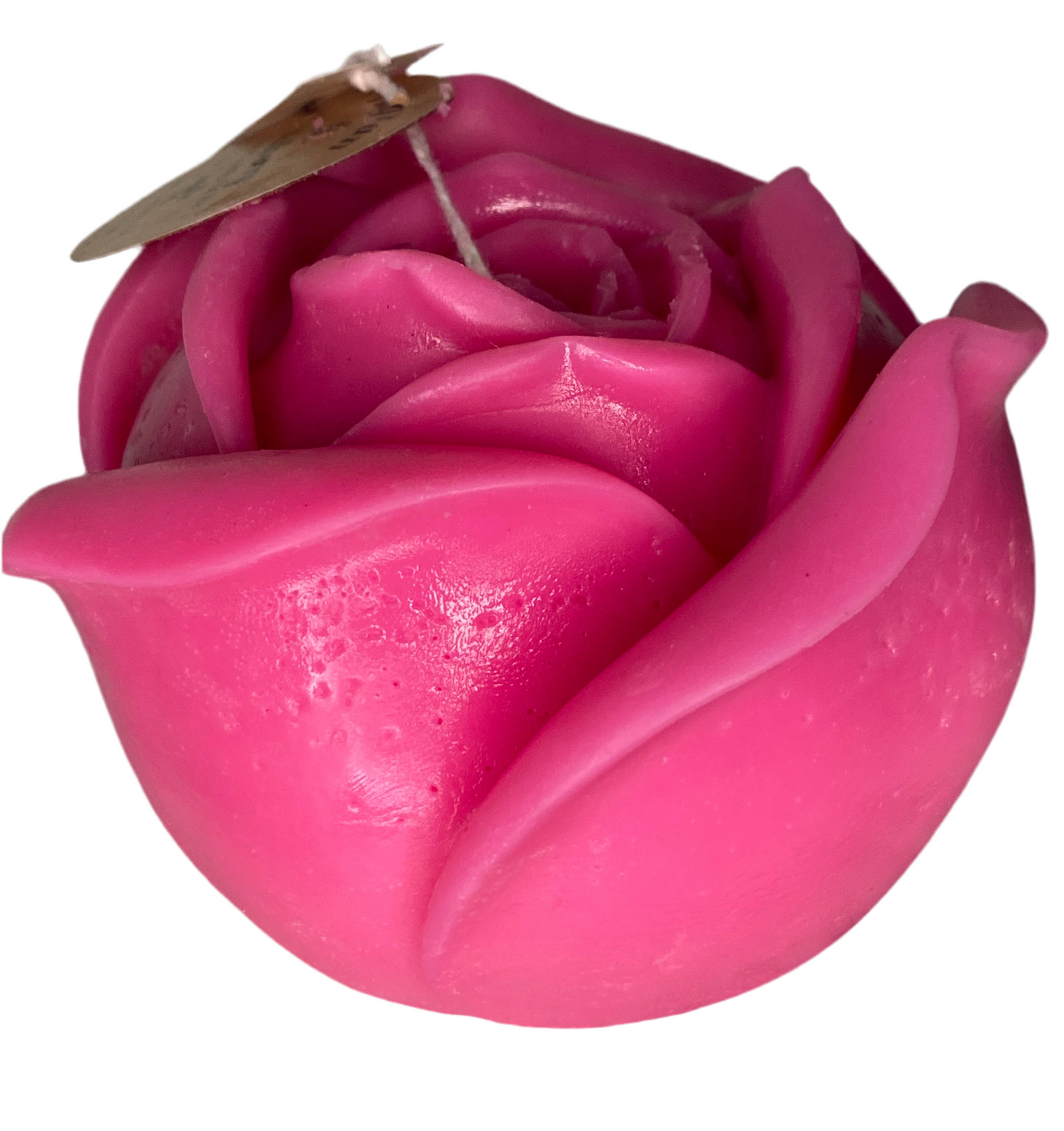 Hot Pink 14 oz Rose for Valentines, Birthdays, Anniversary, House Warming or Just a Special Gift.